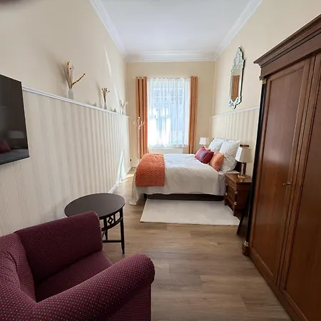 Stadtpalais Belle Etage - Historische Nahe Theater Und Soletherme Appartement Bad Elster